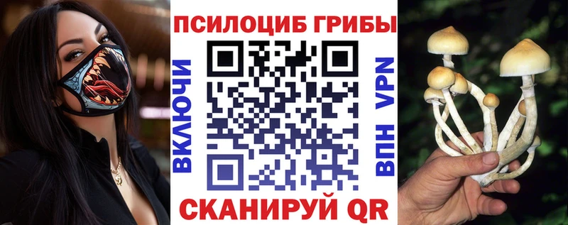Галлюциногенные грибы MAGIC MUSHROOMS  hydra   Солигалич 
